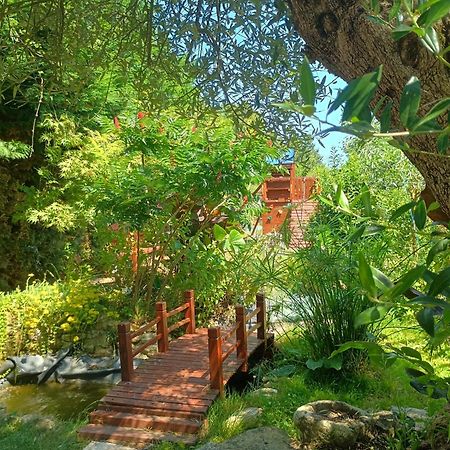 G1 Les Oliviers Villa Saint-Germain-de-Princay Kültér fotó